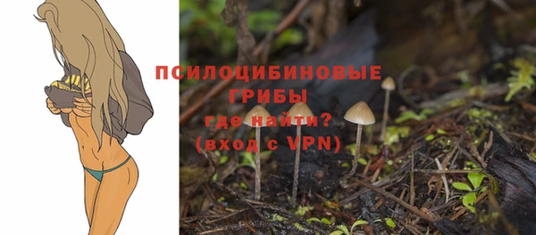 твердый Новокубанск