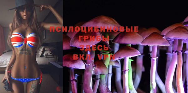 герыч Алексеевка