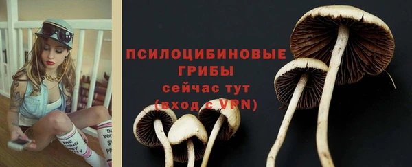 МДПВ Нея