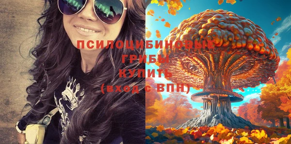 хмурый Алексин
