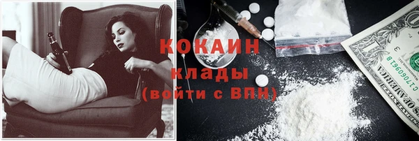 хмурый Алексин