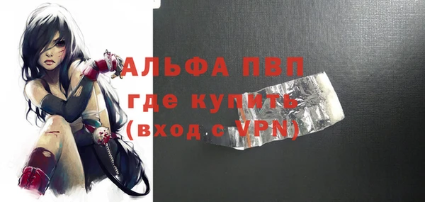 хмурый Алексин