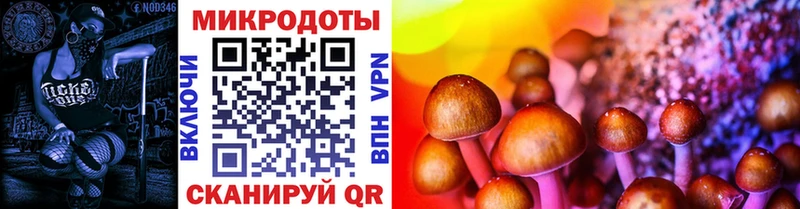 мега как войти  Поронайск  Псилоцибиновые грибы прущие грибы 